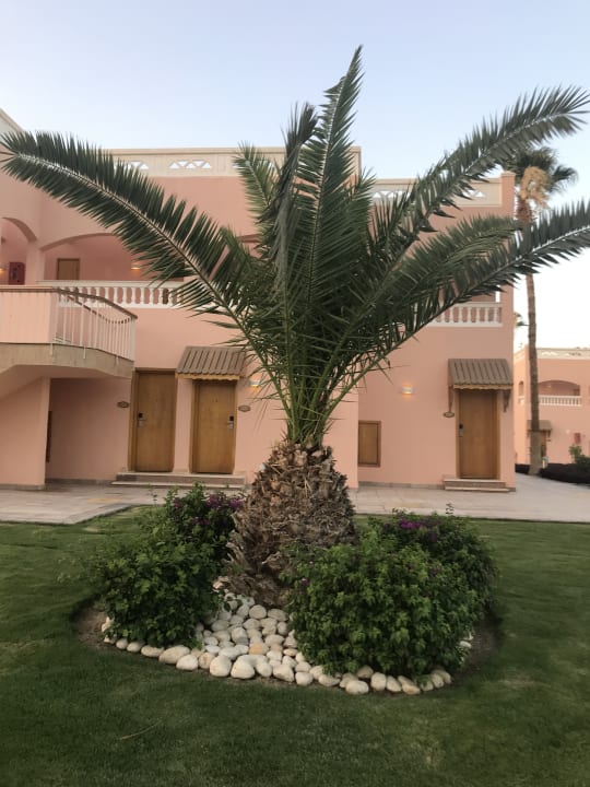 Gartenanlage Beach Albatros Resort