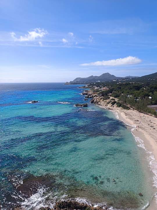 Zimmer Son Moll Sentits Hotel & Spa