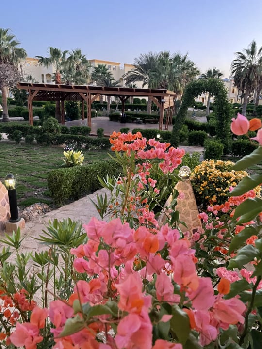 Gartenanlage Blue Reef Red Sea Resort