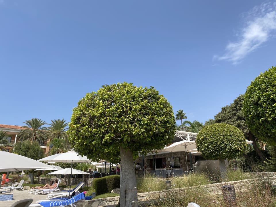 Gartenanlage Hipotels Barrosa Palace