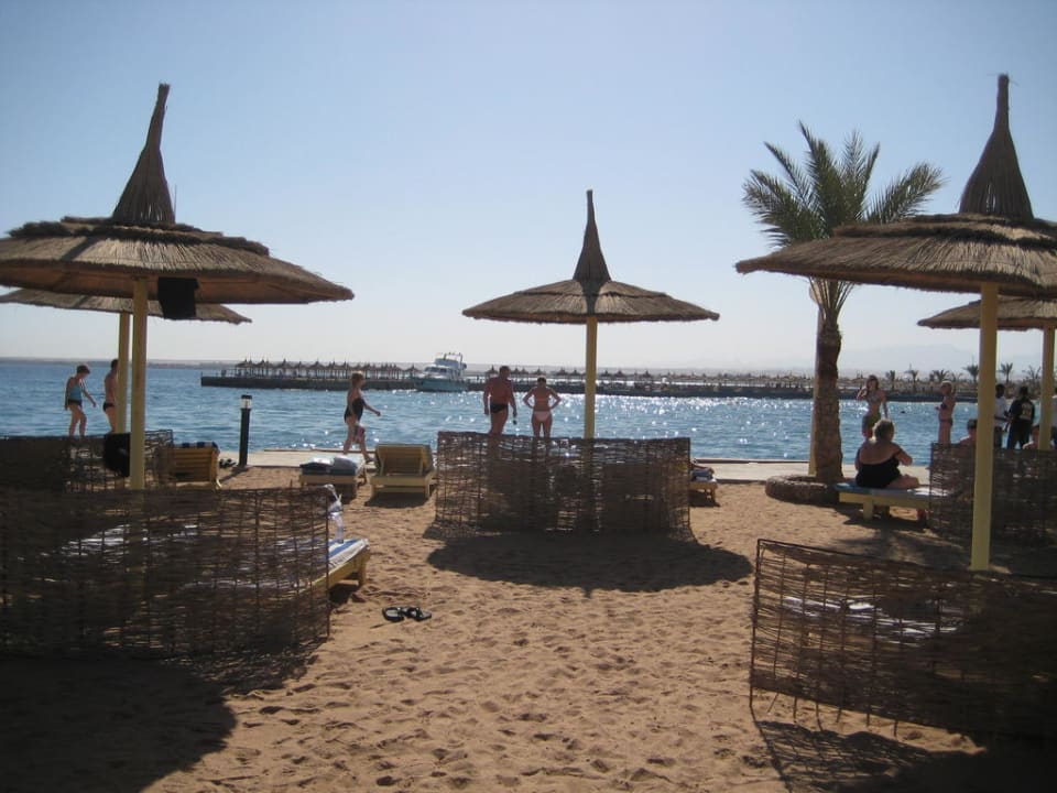 Hotel Strand Albatros Beach Beach Albatros Resort