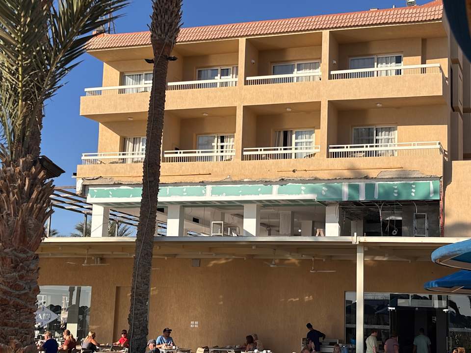 Zimmer Beach Albatros Resort