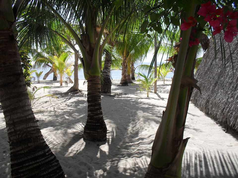 Blick zum Strand zwischen den Bungalows Coco Loco Island Resort