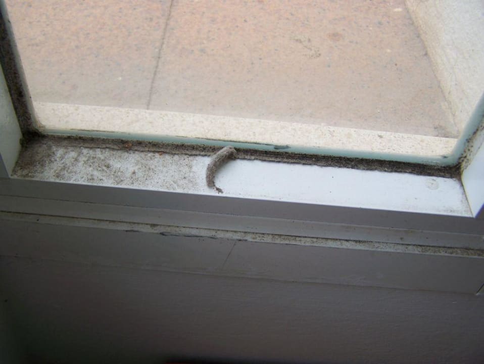 Fenster Aparthotel Houm Plaza Son Rigo