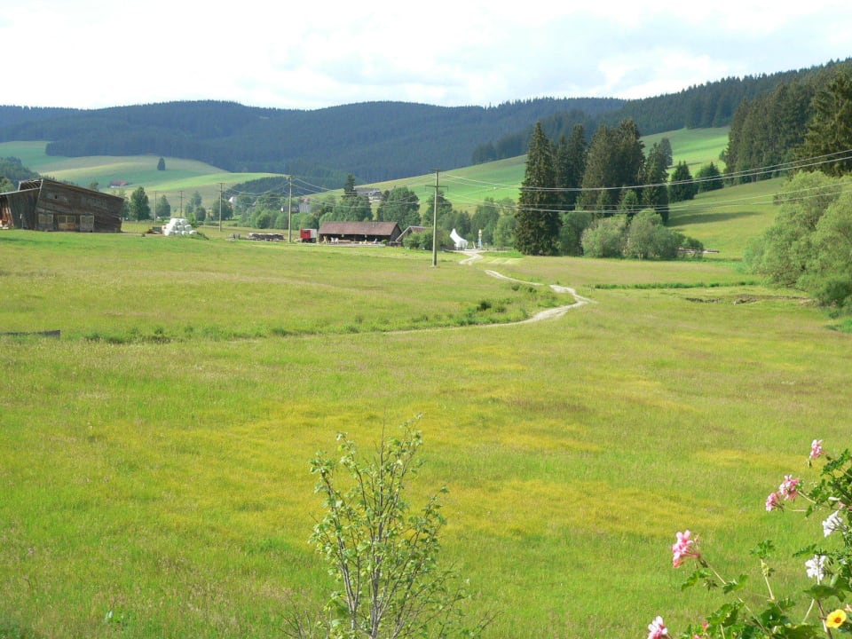 Umgebung zum Hotel Schwarzwaldgasthof Hotel Zum Löwen - Unteres Wirtshaus