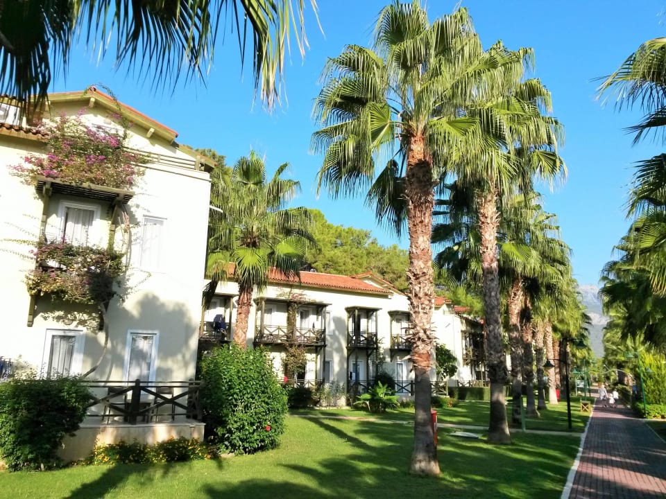 Toller Garten Crystal Flora Beach Resort