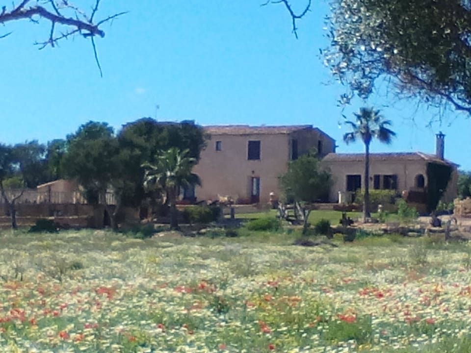 Außenansicht/Garten Finca Es Carbó