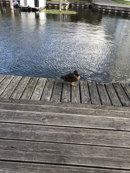 Sonstiges Precise Resort Hafendorf Rheinsberg