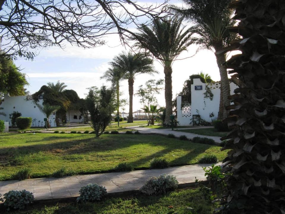 Gepflegte Anlage Shams Safaga Resort