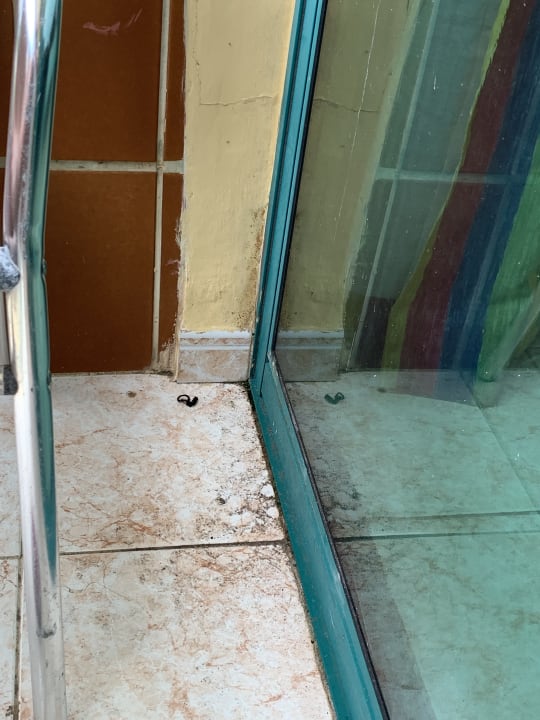 Zimmer Hotel Los Delfines Horizontes