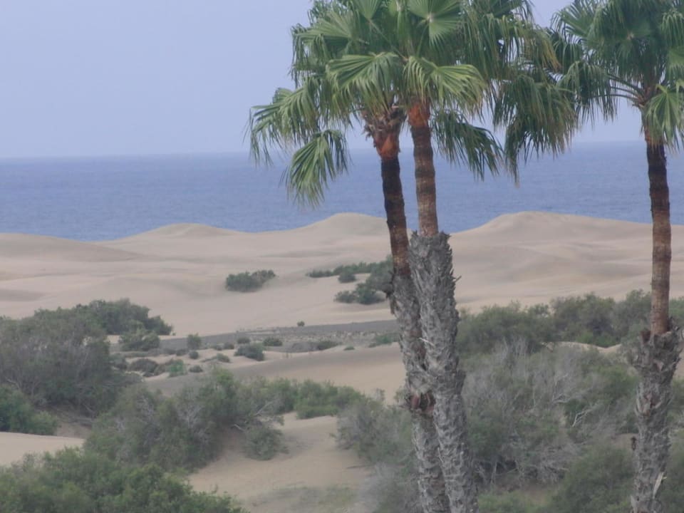 Blick vom Balkon auf die Dünen Hotel Riu Palace Maspalomas Adults Only