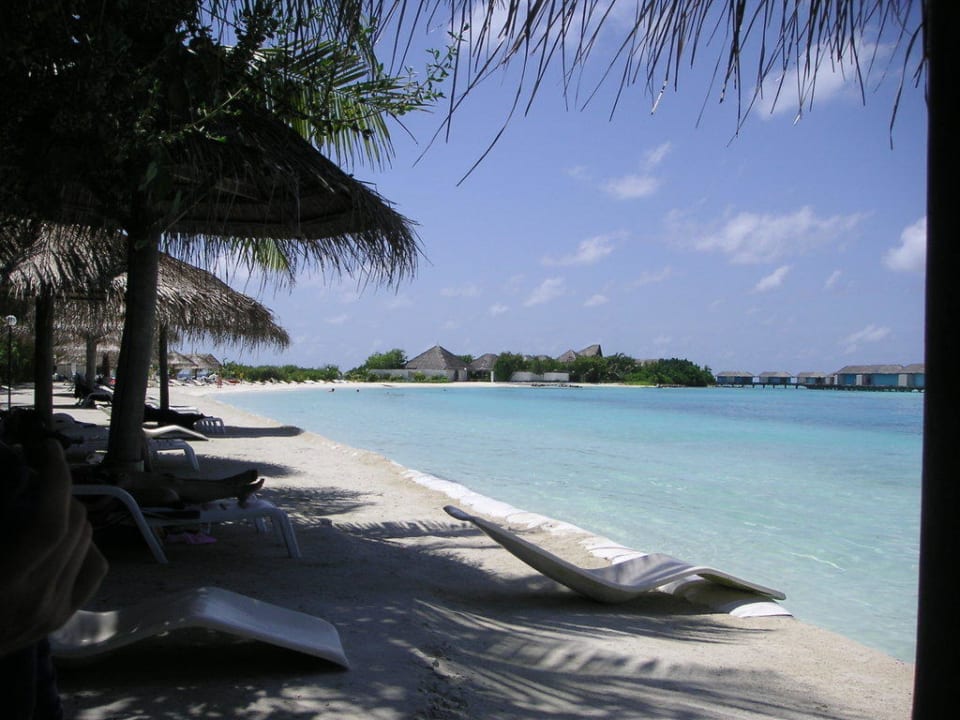 Schwimmlagune mit Hausriff Cinnamon Dhonveli Maldives