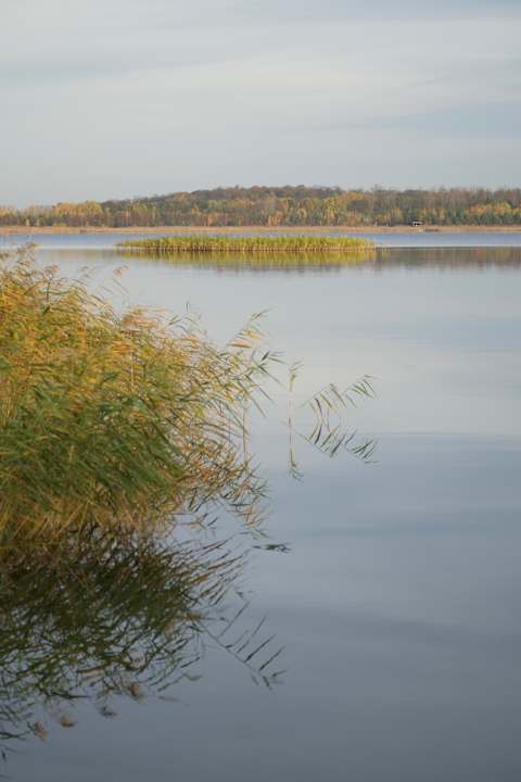Ausblick See- und Waldresort Gröbern