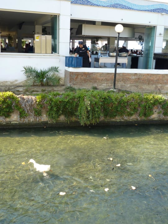 Essensrestentsorgung Ephesia Holiday Beach Club