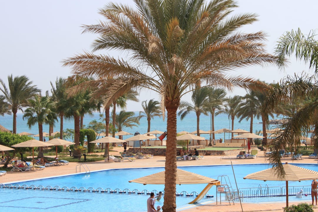 Бассейн Continental Hotel Hurghada