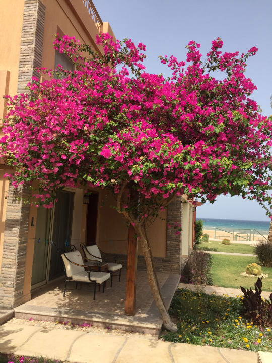 Gartenanlage Shams Prestige Abu Soma-Adults Only