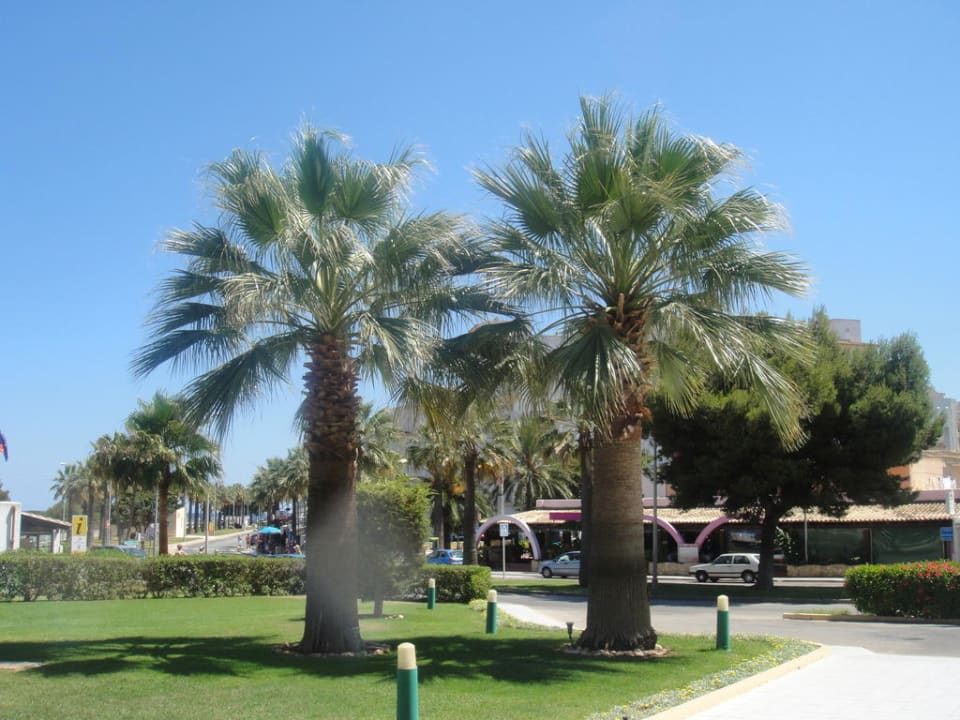 Ausblick beim Ausgang allsun App.-Hotel Orient Beach