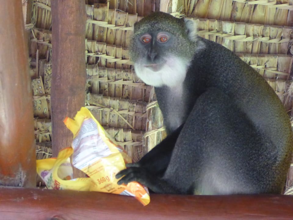 Sonstiges Baobab Beach Resort & Spa