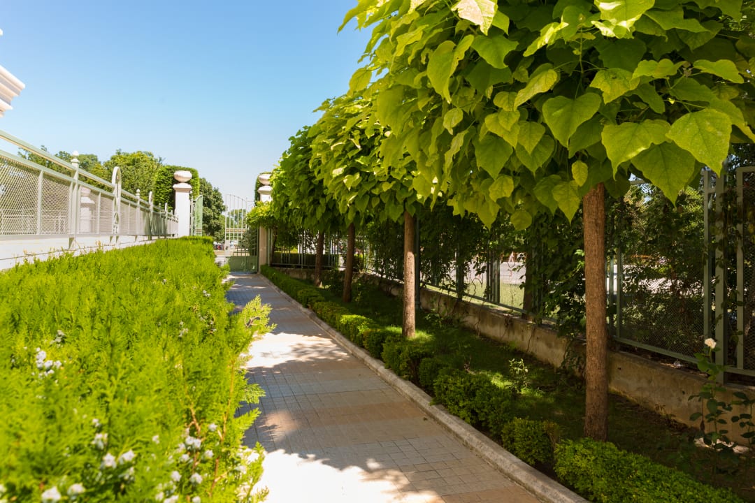 Gartenanlage Romance Splendid and SPA Hotel