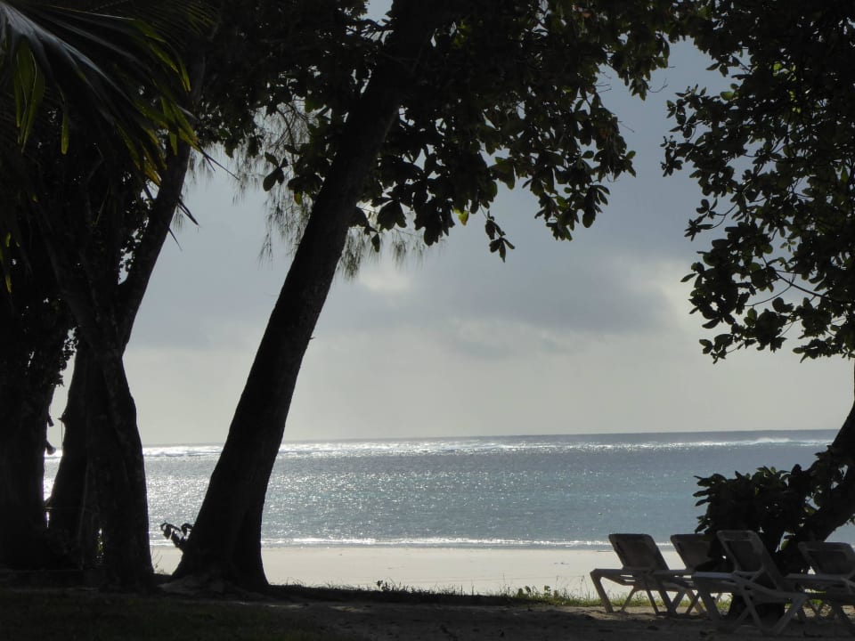Zum träumen Baobab Beach Resort & Spa
