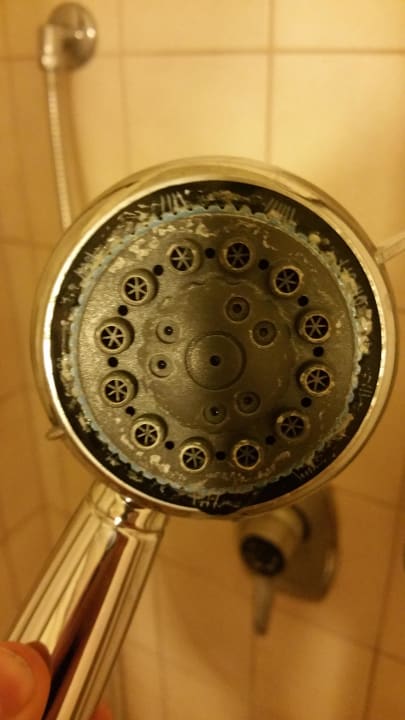 Der Duschkopf gut-Hotel Tannenhof