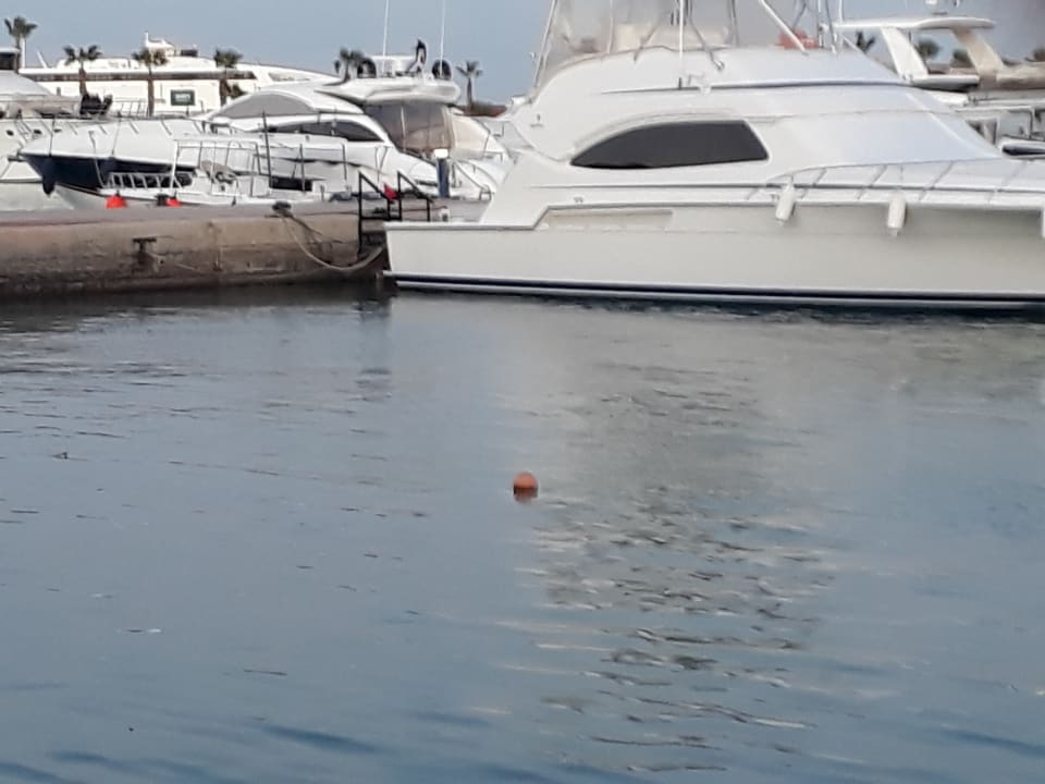 Strand The Grand Palace - Adults only