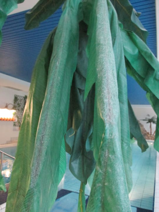 Palme Panoramic - Ihr Apartmenthotel im Harz