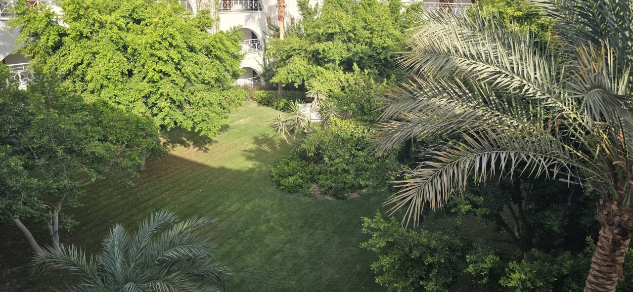 Ausblick Desert Rose