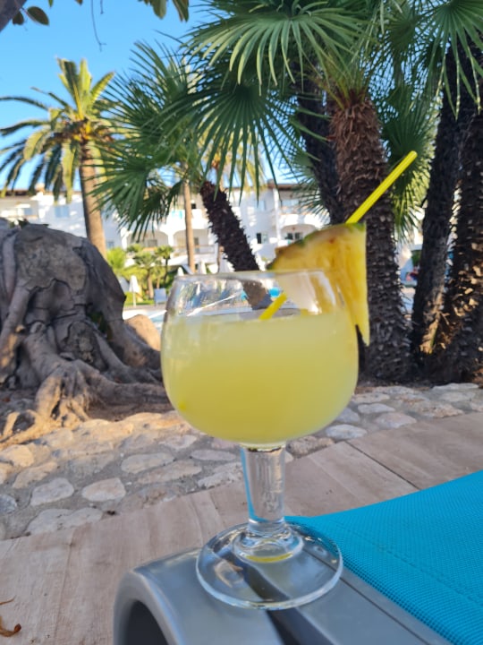 Gastro Alcudia Garden Aparthotel