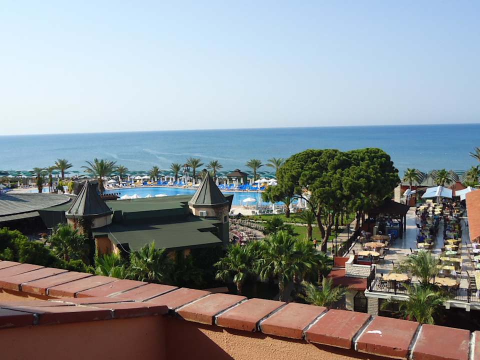 Super Meerblick Papillon Belvil