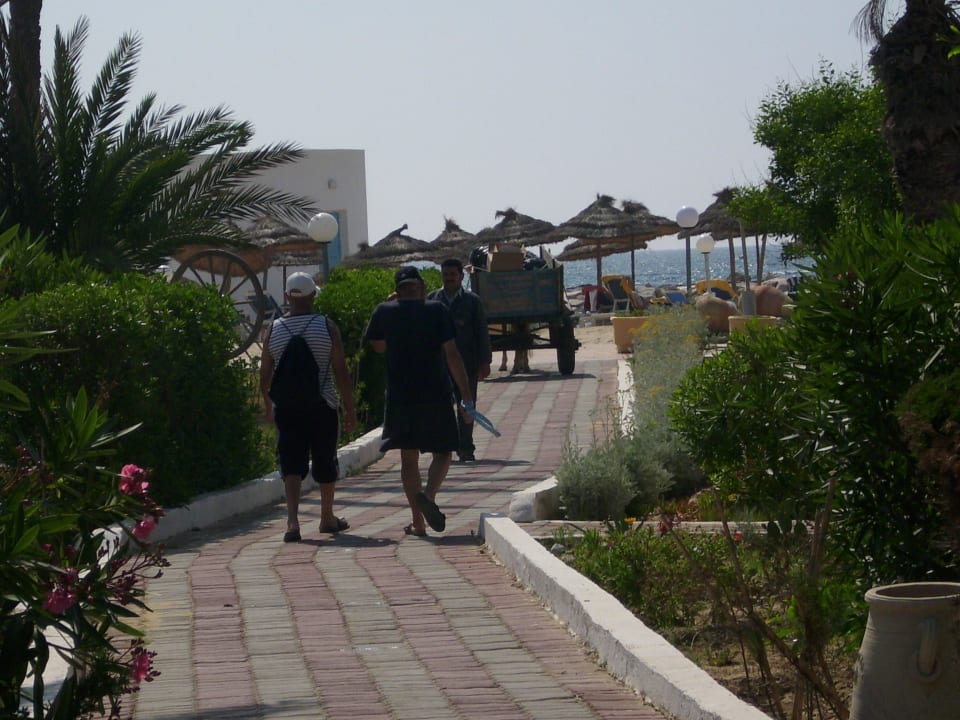 Weg vom Bungalow zum Strand Royal Lido Resort & Spa