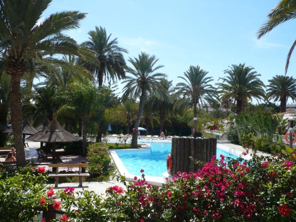 Pool HL Miraflor Suites Hotel