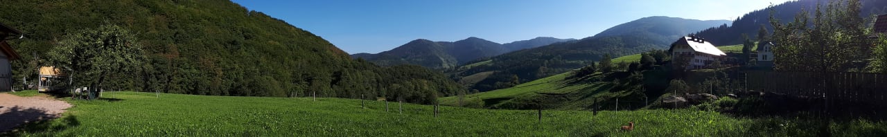 Ausblick Bauernhof Bernhardenhof