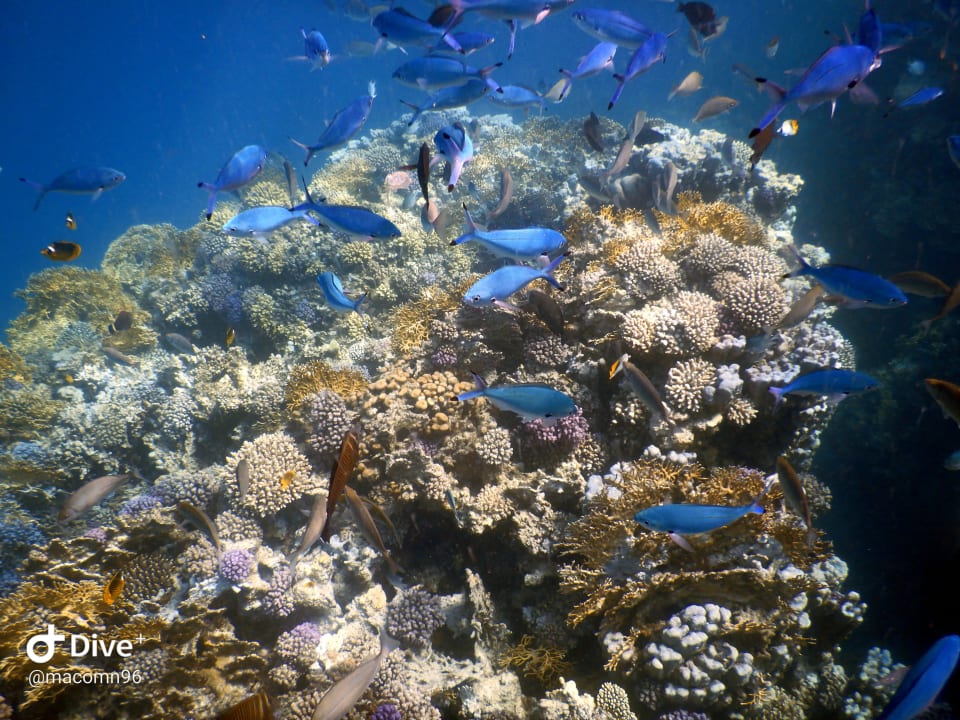 Sport & Freizeit Brayka Bay Resort