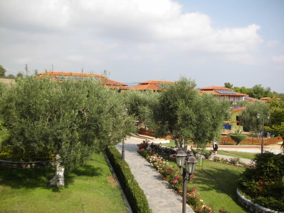 Blick vom Balkon Blue Dolphin Resort Hotel
