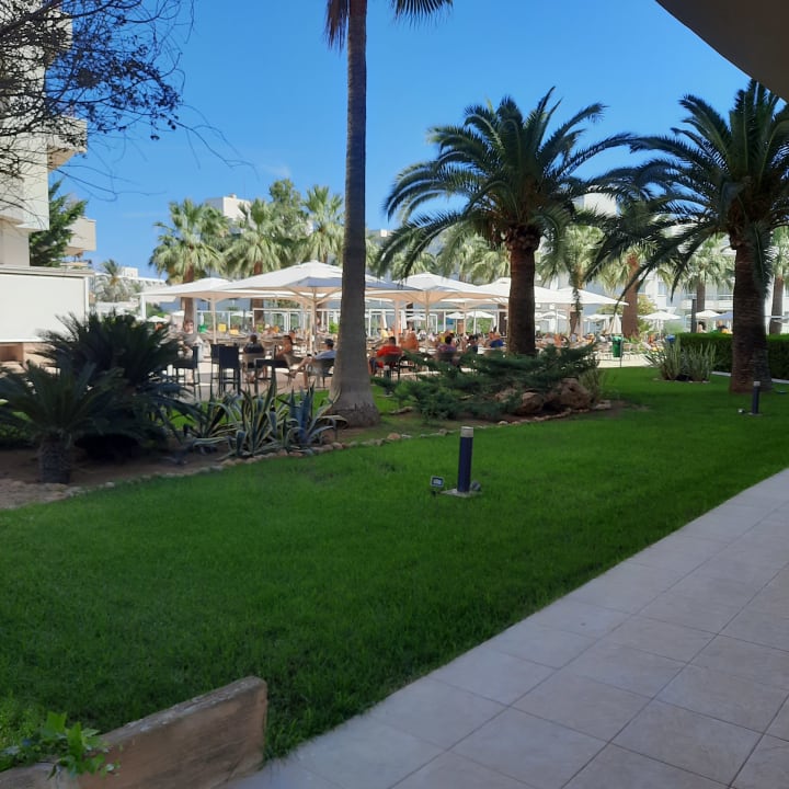 Sonstiges allsun App.-Hotel Orient Beach