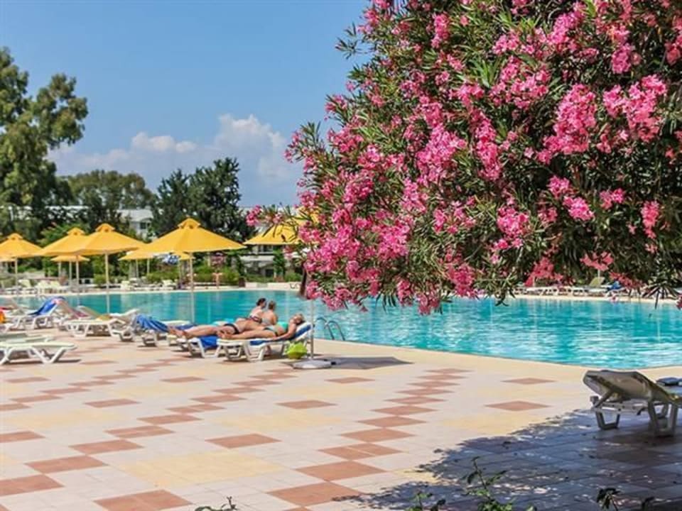 Pool Hotel Athos Palace