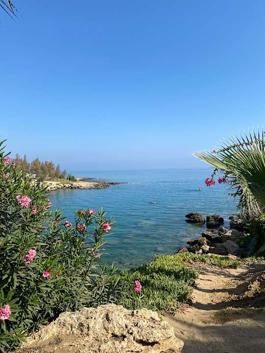 Gartenanlage Crystal Springs Beach Hotel