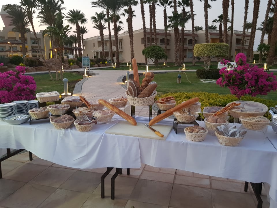 Gastro Beach Albatros Resort