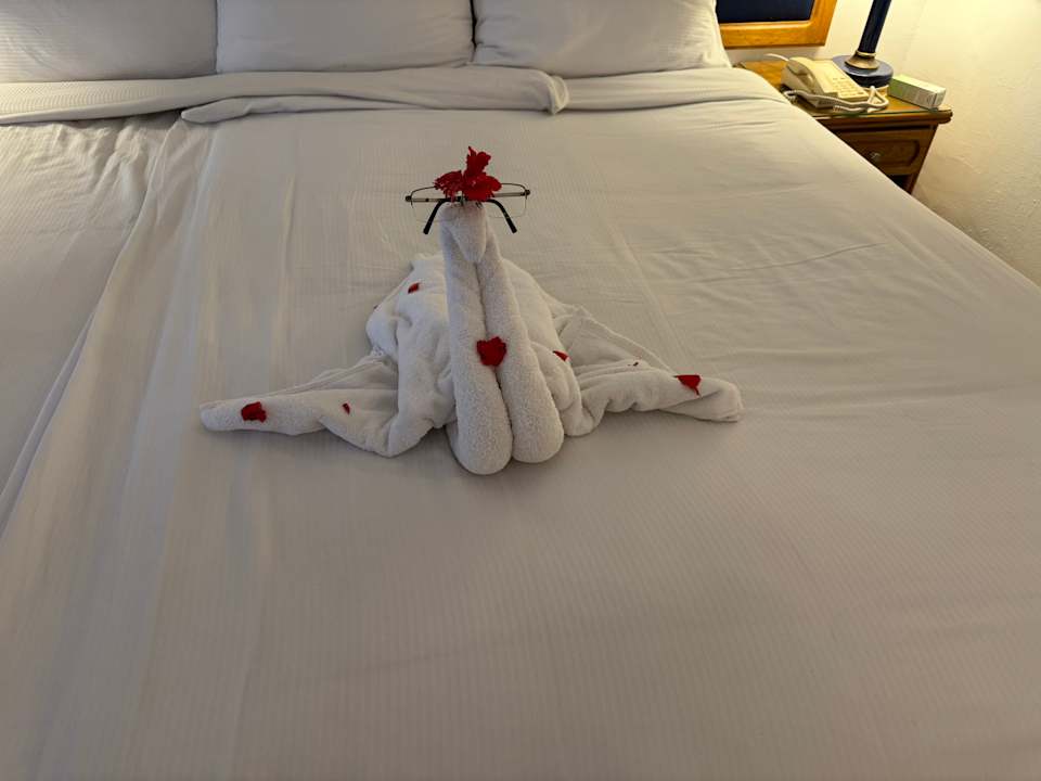 Außenansicht Desert Rose