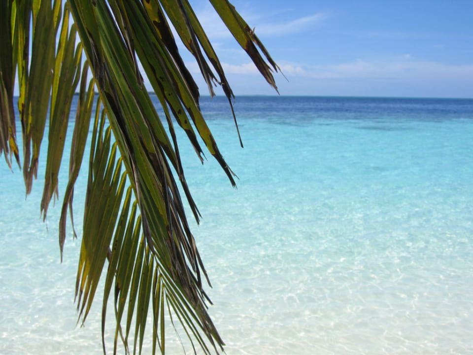 Strandimpressionen Vilamendhoo Island Resort & Spa