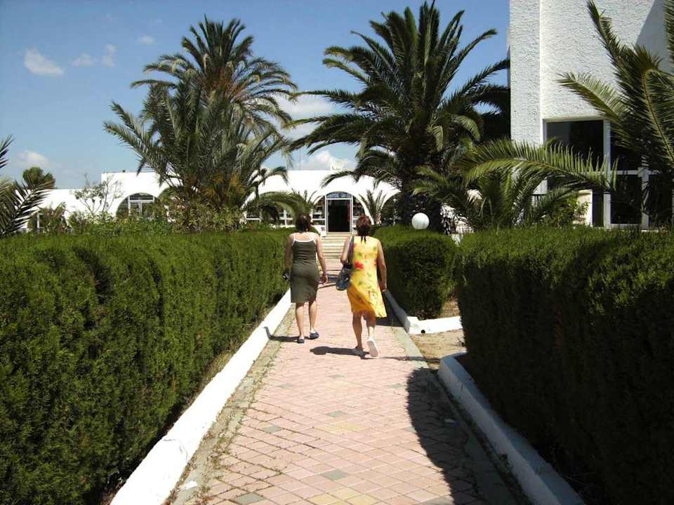 Weg zum Hotelshop Royal Lido Resort & Spa