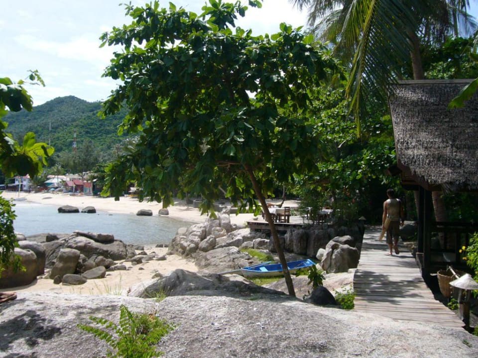 Sensi Paradise Sensi Paradise Beach Resort