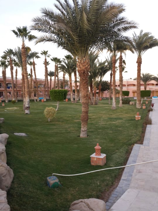 Wunderschön Beach Albatros Resort