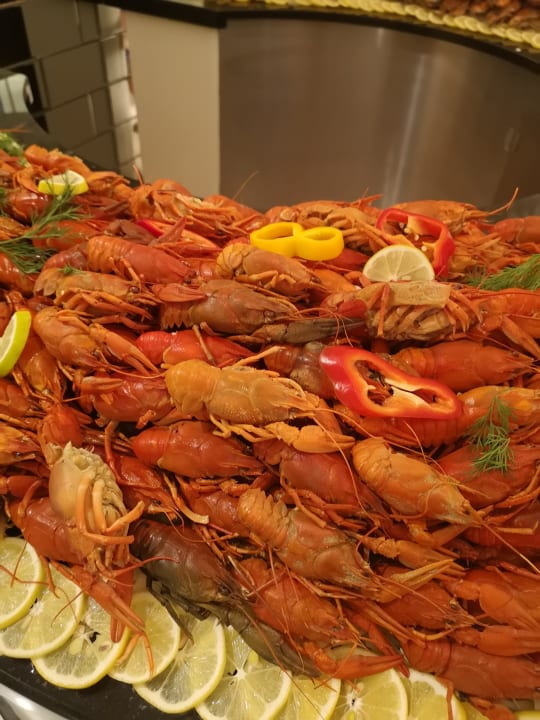 Gastro Well Palace Side