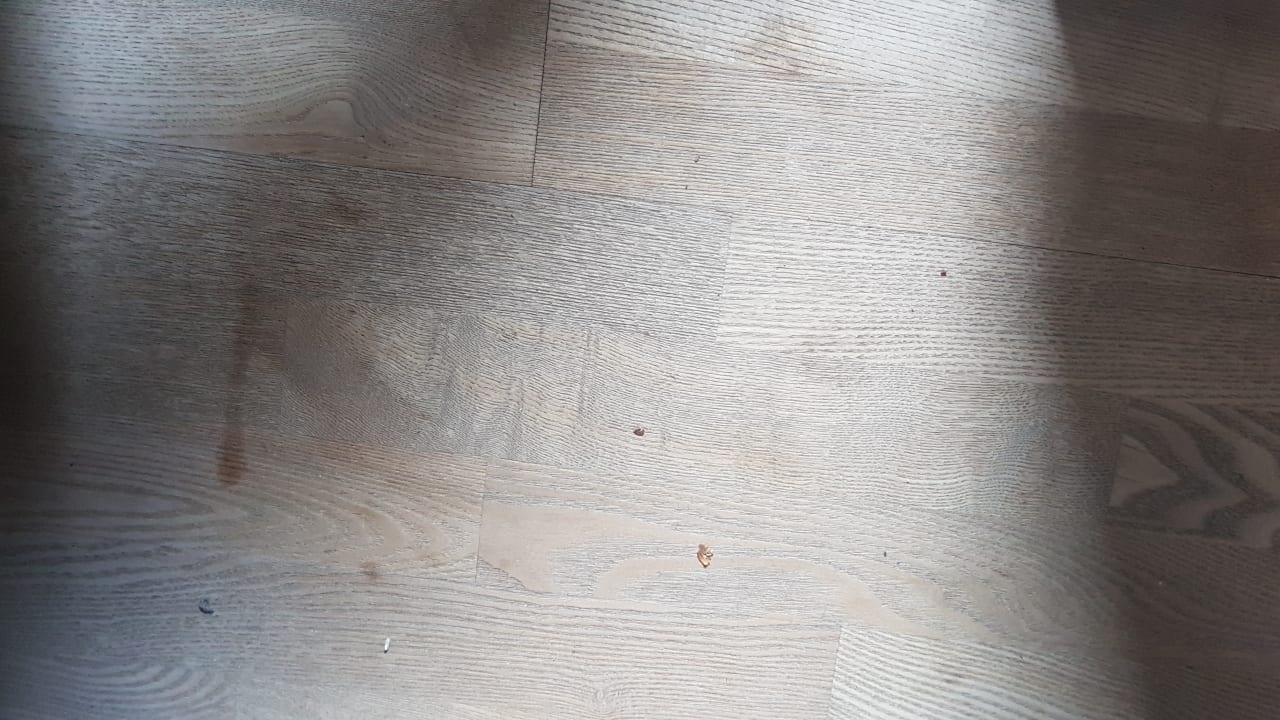 Zimmer Novasol Ferienhäuser