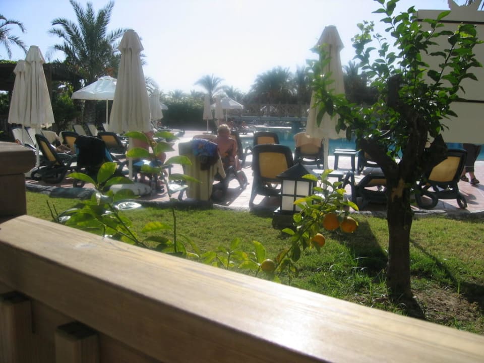 Restaurant Royal Wings Hotel