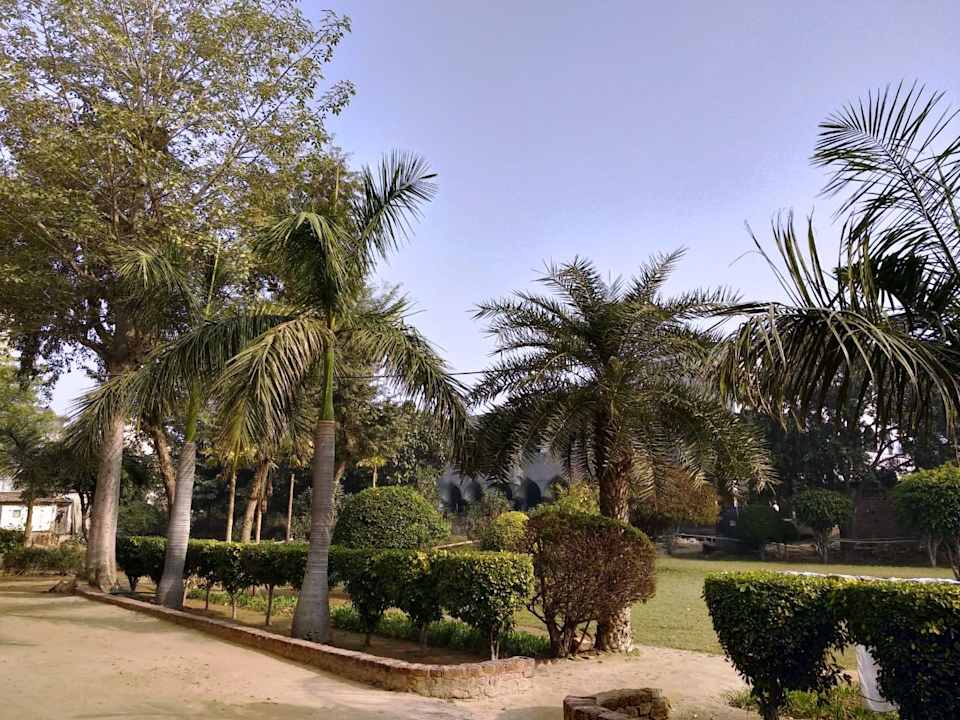 Gartenanlage The Radiance Suites & Apartments