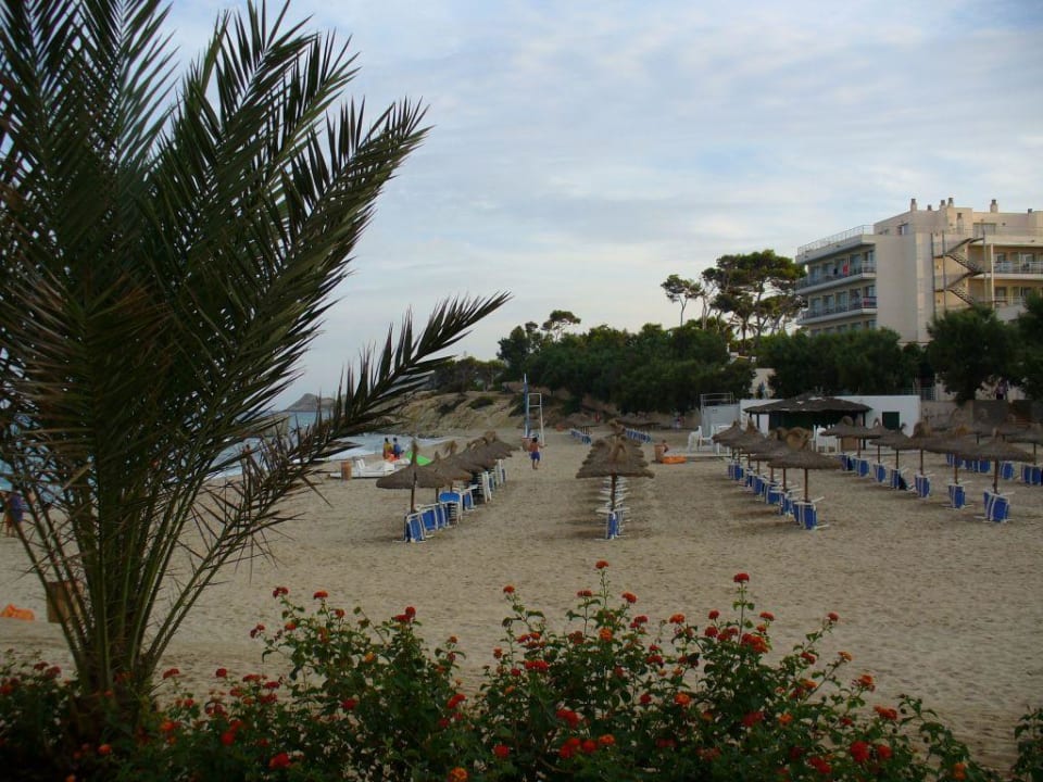 Die kleine schöne Bucht Son Mol R2 Lago Playa Park