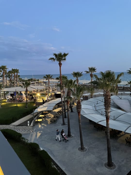 Ausblick TUI BLUE Palm Garden